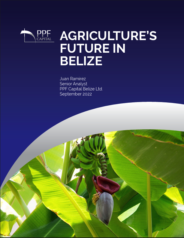 Agriculture’s Future in Belize